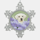 Suche nach labrador ornamente Welpe