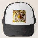 Recherche de safari casquettes Tigre