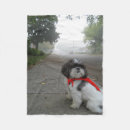 Recherche de shih tzu tissu Tzu de shi