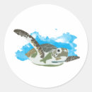 Suche nach schildkröte liebe aufkleber Die schildkröten gerettet