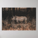 Recherche de rhino posters Nature