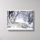 Recherche de tigres art Peinture