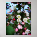Suche nach kirschblüten poster Frühling