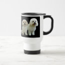 Suche nach bichon tassen Hund