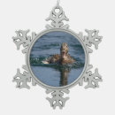 Recherche de bec ornements Sauvage