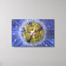 Suche nach passionsblume poster Nahaufnahme