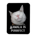 Recherche de parfait magnets Chaton