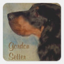 Recherche de gordon setter autocollants Canne