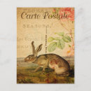 Suche nach vintage kaninchen postkarten Hare