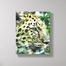 Suche nach wildkatzen leinwandbilder Tierwelt