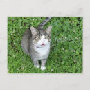 Suche nach irisches sprichwort postkarten Klee