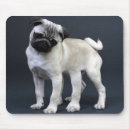Recherche de six tapis souris Animal