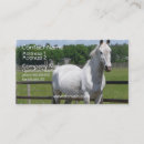 Recherche de cheval arabe cartes visite Équin