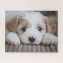 Recherche de animal bébé puzzles Chiot