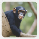Suche nach chimp aufkleber Krümel