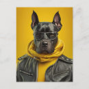 Suche nach supercool Hund