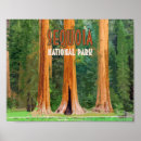 Recherche de sierra posters Parc national de séquoia