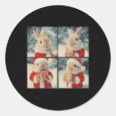 Recherche de républicain photographie Xmas