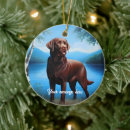 Recherche de chien de chasse ornements Forêt