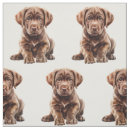 Suche nach schokolade stoffe Hund