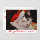 Recherche de noël blanc cartes postales Animal