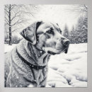 Suche nach weißer labrador retriever poster Schnee