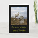 Recherche de connemara vœux cartes Poney