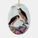 Suche nach falken ornamente Wild lebende tiere