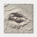 Suche nach damhirschkuh und dollar wohnen zuhause Jahreszeit