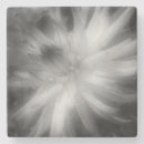 Suche nach dahlien untersetzer Für sie