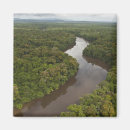 Recherche de la guyane magnets Rivière
