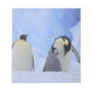 Recherche de loup blocsnotes Neige