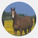Recherche de thoroughbred autocollants Fleurs