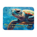 Recherche de tortues magnets Bleu
