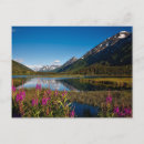 Suche nach alaska postkarten Berg