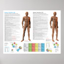 Recherche de méridien posters Médecine chinoise