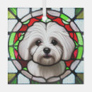 Recherche de coton de tulear maison deco Animal