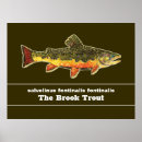 Suche nach bachforelle poster Fischer