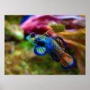 Suche nach ozeanfischen poster Bunt