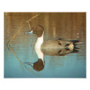 Recherche de copies de photo Nature