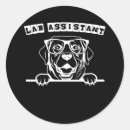 Suche nach labrador liebhaber aufkleber Hund