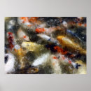 Suche nach koi fish poster Karpfen