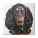 Suche nach gordon fliesen Hund