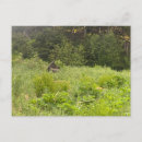 Recherche de moose posters Randonnée