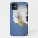 Suche nach der weißkopfseeadler iphone hüllen Greifvogel