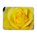 Suche nach rosen blumenmagneten magnete Mit blumen