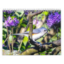 Recherche de poule calendriers Oiseau