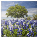 Suche nach outdoor fliesen Niemand