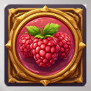 Recherche de framboise art Fruit