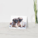 Suche nach mops welpen karten Jungtier